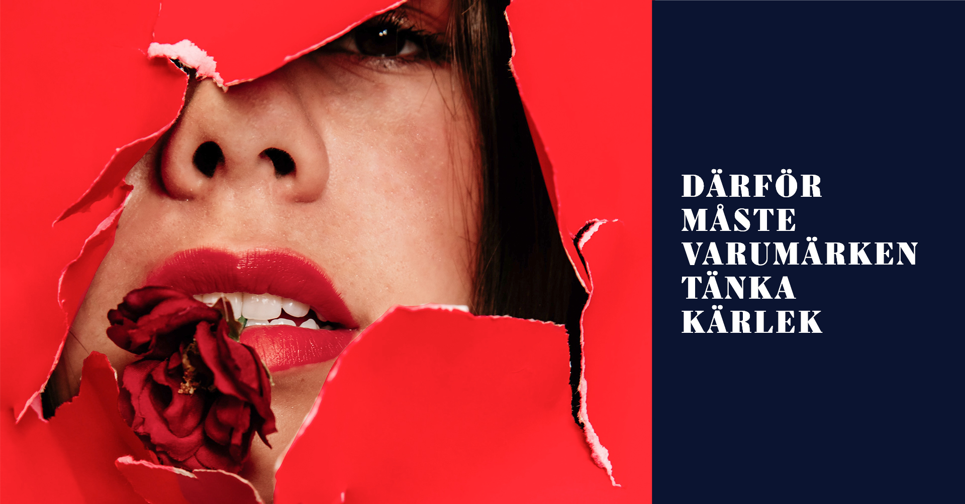 Kunde inte hitta bild